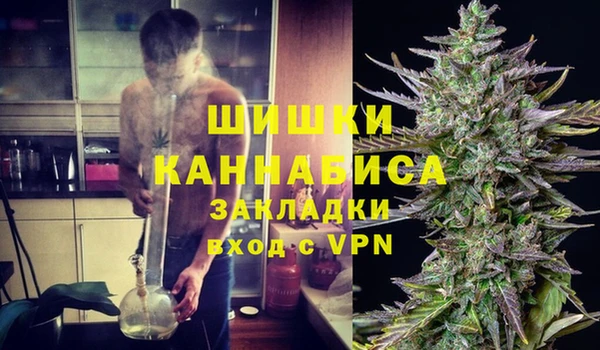 молекула духа Переславль-Залесский