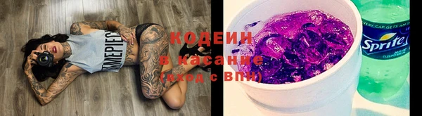 spice Пересвет