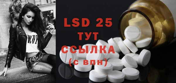 ГАЛЛЮЦИНОГЕННЫЕ ГРИБЫ Галич