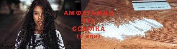 молекула духа Переславль-Залесский