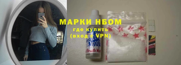 молекула духа Переславль-Залесский