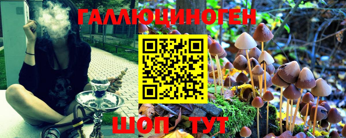 Галлюциногенные грибы MAGIC MUSHROOMS Кузнецк