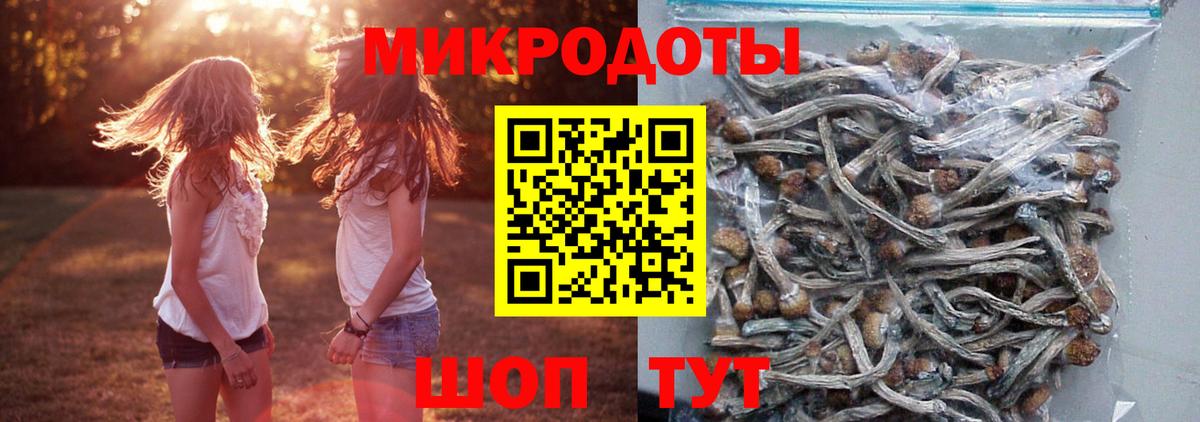 Галлюциногенные грибы Psilocybe  Вход с VPN  Кузнецк 